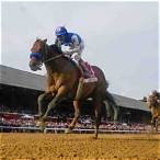 how to bet on belmont stakes